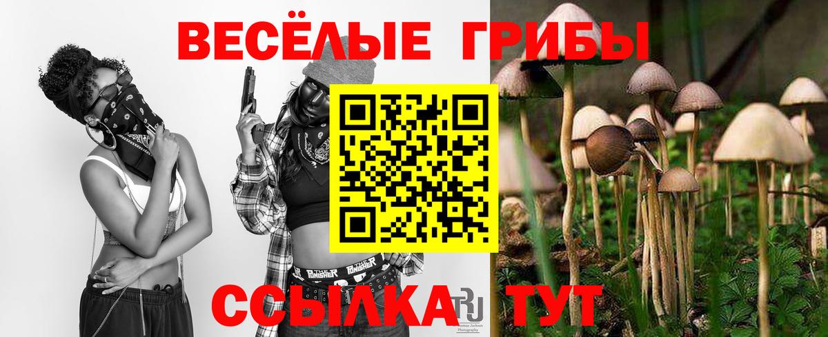 Галлюциногенные грибы GOLDEN TEACHER Гусев